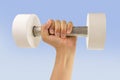 Training with dumbbell Royalty Free Stock Photo