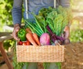 Nature knows best. Cropped shot of a man carrying a basket of freshly picked produce in a garden. Royalty Free Stock Photo