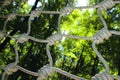 Rope Knots Outdoors. Abstract Background. Royalty Free Stock Photo