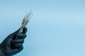 Cropped shot of professional dentist in black medical gloves with dental tools. Dental concept. Isolated on blue background Royalty Free Stock Photo