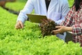 Cropped shot of scientist holding clipboard examining plants in industrial greenhouse