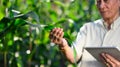 Cropped shot senior farmer holding digital tablet checking the quality of his corn field at the sunset Royalty Free Stock Photo