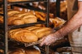 cropped shot of shop assistant arranging loafs of bread