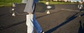 Cropped shot of teen skater girl, hands holding longboard, walking with skateboard on concrete road