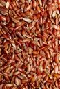 Cropped shot of uncoocked red rice background. Vertical image of rice. Royalty Free Stock Photo