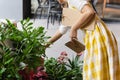 Cropped shot of unrecognizable woman holding potted flower plant in garden shop. Royalty Free Stock Photo