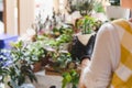 Cropped shot of unrecognizable woman holding potted flower plant in garden shop. Royalty Free Stock Photo