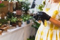 Cropped shot of unrecognizable woman holding potted flower plant in garden shop. Royalty Free Stock Photo