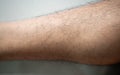 Cropped shot view of men's leg with messy shin hair grows. Royalty Free Stock Photo