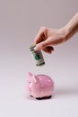 cropped shot of woman putting dollar banknote into pink piggy bank