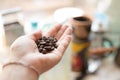 Cropped shot of a woman`s hands holding freshly roastd aromatic coffee Royalty Free Stock Photo