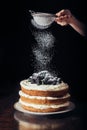 cropped shot of woman spilling sugar powder onto delicious blackberry