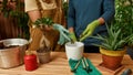 Cropped shot of young couple of gardeners standing near the table, pouring drainage into a pot while transplanting house