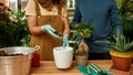 Cropped shot of young couple of gardeners standing near the table, pouring drainage while transplanting house plant into