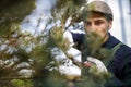 Cropped shot of a young male gardener while clipping or prune the tree in horticulture