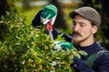 Cropped shot of a young male gardener while clipping or prune the tree in horticulture