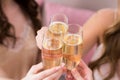 cropped shot of young women clinking glasses of champagne Royalty Free Stock Photo