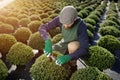 Cropped shots of male gardener at the horticulture while arranging and clipping plants