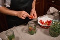 Cropped view of a housewife in black chef& x27;s apron pickling ripe and juicy cherry tomatoes at home kitchen Royalty Free Stock Photo