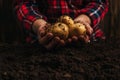 cropped view of farmer holding dirty natural potatoes near ground.