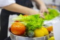 Cropped view of female cook washing herbs Royalty Free Stock Photo