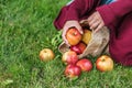 cropped view of girl apples in paper bag on green Royalty Free Stock Photo