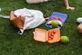 Cropped view of lunchboxes and backpack