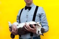 Man in blue shirt with long sleeves and black suspender and bow tie holding on back grey and white cat