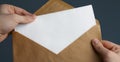 Cropped view of man holding craft envelope with blank white card Royalty Free Stock Photo