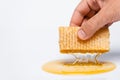 cropped view of man holding honeycomb Royalty Free Stock Photo