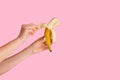 Cropped view of millennial girl peeling ripe banana on pink background, close up. Copy space Royalty Free Stock Photo