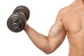 Cropped view of a muscular man lifting a dumbbell