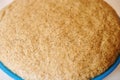 Cropped view of a rising yeast dough in blue bowl. Whole grain bread batter rising in bowl. Baking bread concept Royalty Free Stock Photo