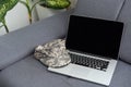 cropped view of soldier camouflage uniform laptop