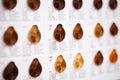 Any color you can think of. A cropped view of various haircolor swatches. Royalty Free Stock Photo