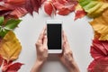 Cropped view of woman holding smartphone with blank screen near colorful autumn leaves of alder, maple and wild grapes