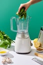Cropped view of woman putting basil leaves in food processor near pesto sauce raw ingredients on white table isolated on green Royalty Free Stock Photo