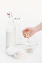 Cropped view of woman putting oat flakes in bowl while cooking oat vegan milk. Royalty Free Stock Photo