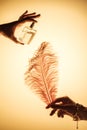cropped view of woman spraying perfume on feather to feel fragrance,
