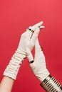 Cropped of woman in gloves with Royalty Free Stock Photo