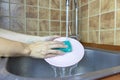 Cropped woman`s hands washing a pink dish with a blue sponge in kitchen. Royalty Free Stock Photo