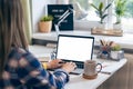 Cropped woman typing on laptop computer while sitting at home. Close up hands with mockup monitor. Distance learning Royalty Free Stock Photo