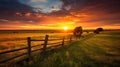 crops farm sunset Royalty Free Stock Photo