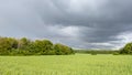 Crops growing on agricultural field rural scene