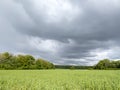 Crops growing on farm field under grey clouds