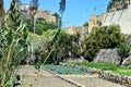 Crops growing in the lunzjata valley of Gozo 2 Royalty Free Stock Photo