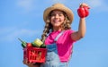 Crops harvest. Harvest season. Child carry harvest sky background. Organic food. Sunny day at farm. Vegetables in basket Royalty Free Stock Photo