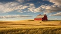 crops north dakota farm Royalty Free Stock Photo