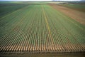 Crops under irrigation at Kununurra. Royalty Free Stock Photo