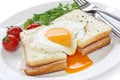 Croque madame , french ham and cheese sandwich wit Royalty Free Stock Photo